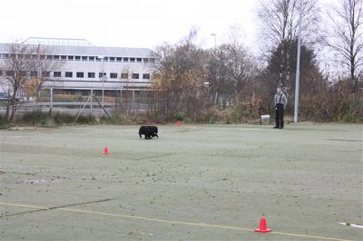 Klikk for å vise bildet i full størrelse