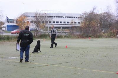 Klikk for å vise bildet i full størrelse