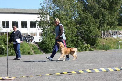 Klikk for å vise bildet i full størrelse