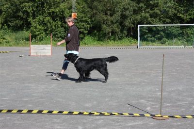 Klikk for å vise bildet i full størrelse