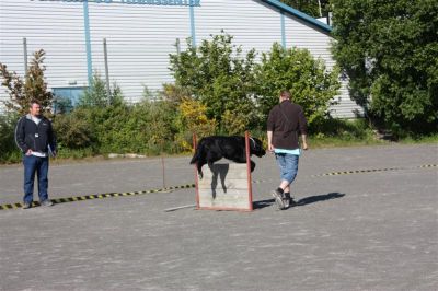 Klikk for å vise bildet i full størrelse