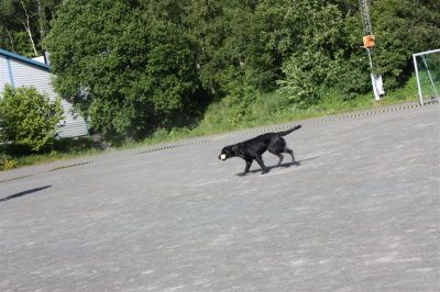 Klikk for å vise bildet i full størrelse