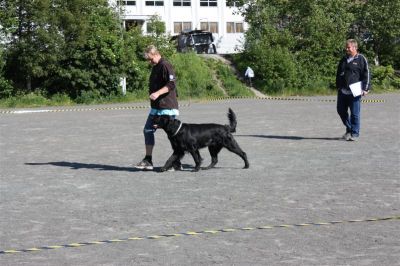 Klikk for å vise bildet i full størrelse