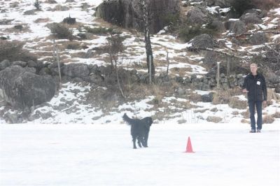 Klikk for å vise bildet i full størrelse