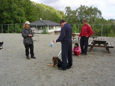 Klikk for å vise bildet i full størrelse