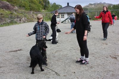 Klikk for å vise bildet i full størrelse