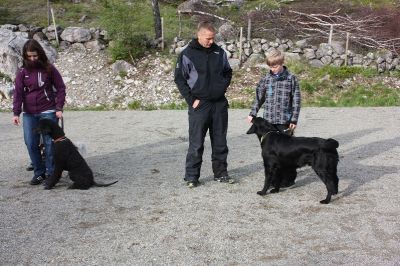 Klikk for å vise bildet i full størrelse