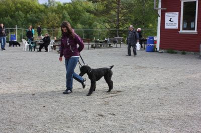 Klikk for å vise bildet i full størrelse