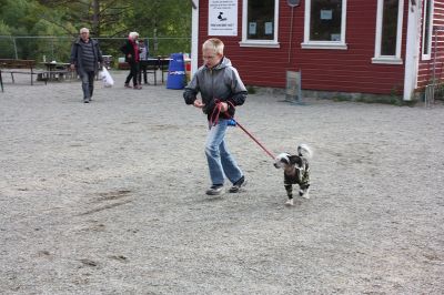 Klikk for å vise bildet i full størrelse