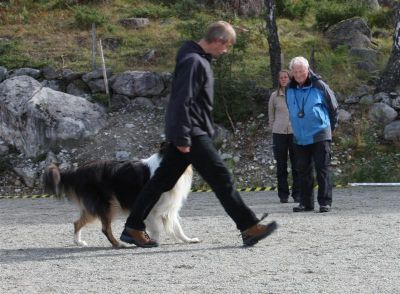 Klikk for å vise bildet i full størrelse