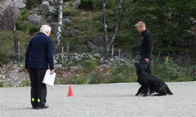 Klikk for å vise bildet i full størrelse