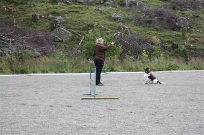 Klikk for å vise bildet i full størrelse