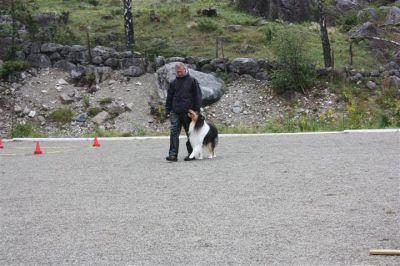 Klikk for å vise bildet i full størrelse