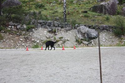 Klikk for å vise bildet i full størrelse