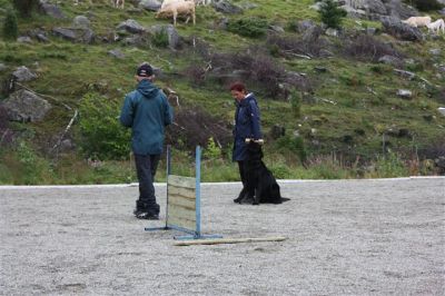 Klikk for å vise bildet i full størrelse