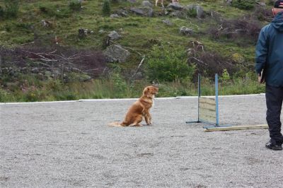 Klikk for å vise bildet i full størrelse