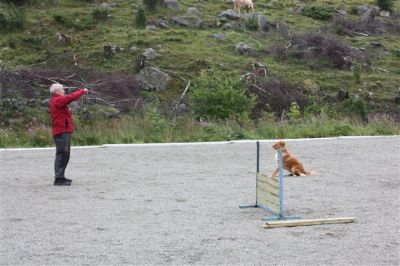 Klikk for å vise bildet i full størrelse