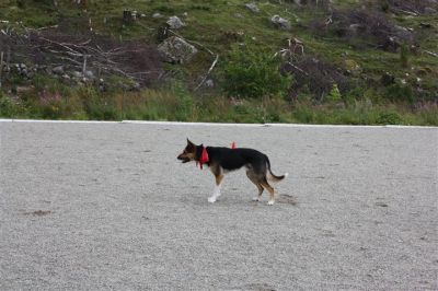 Klikk for å vise bildet i full størrelse