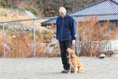 Klikk for å vise bildet i full størrelse