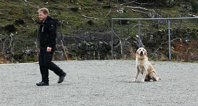 Klikk for å vise bildet i full størrelse