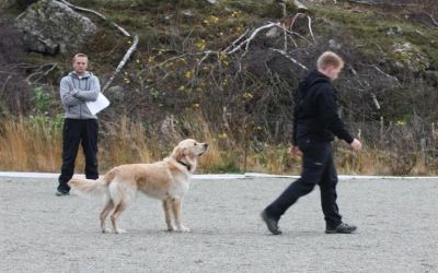 Klikk for å vise bildet i full størrelse