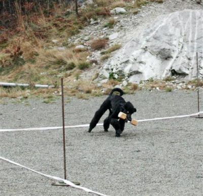 Klikk for å vise bildet i full størrelse